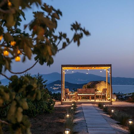 Jannas Apartments Naxos Agkidia Экстерьер фото